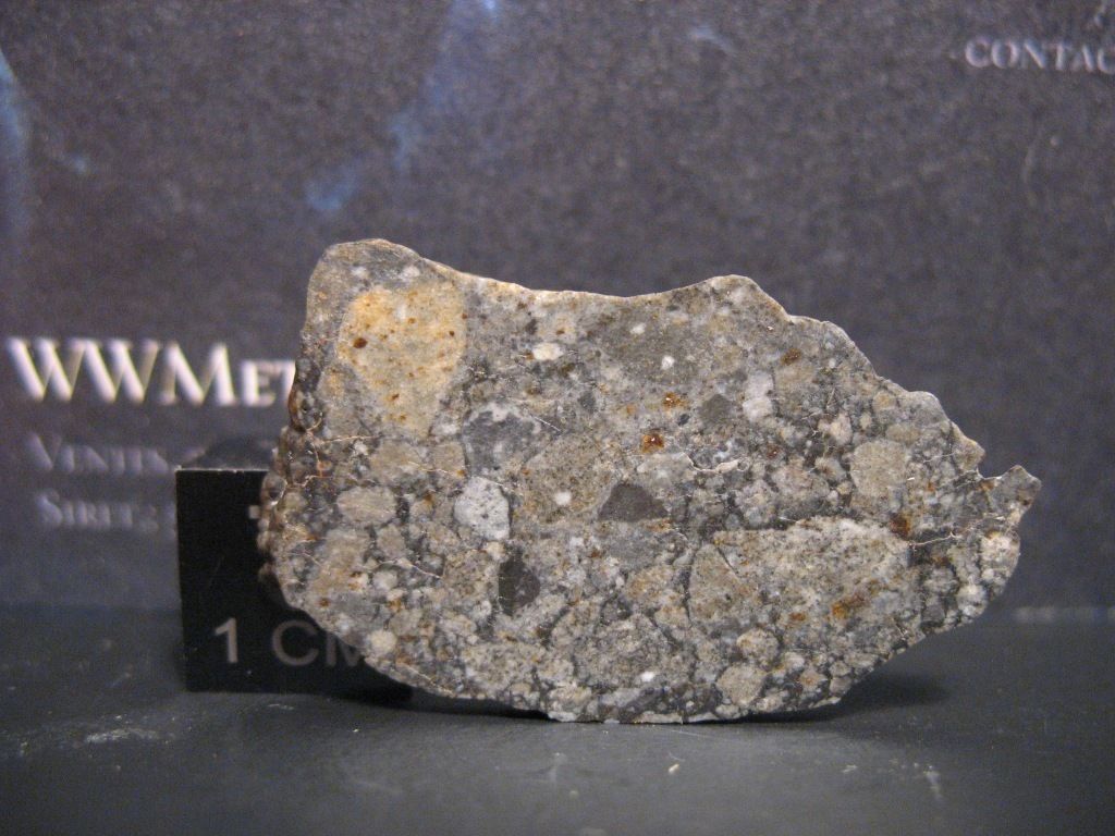 nwa 8455 2.jpg