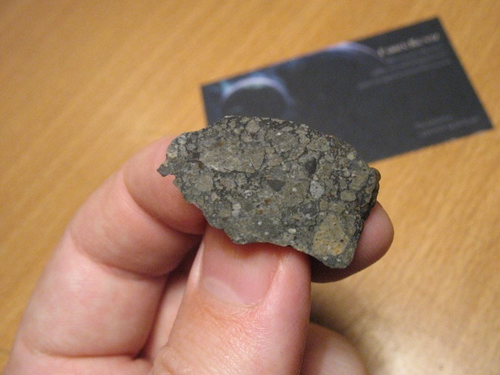 nwa 8455 4.jpg
