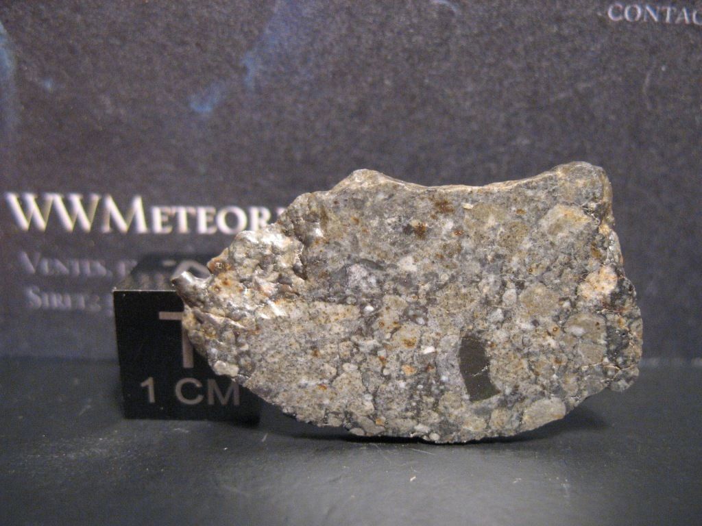 nwa 8455 6.jpg