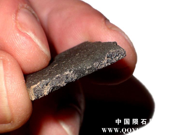 acfer331-2.9g-slice(3).JPG