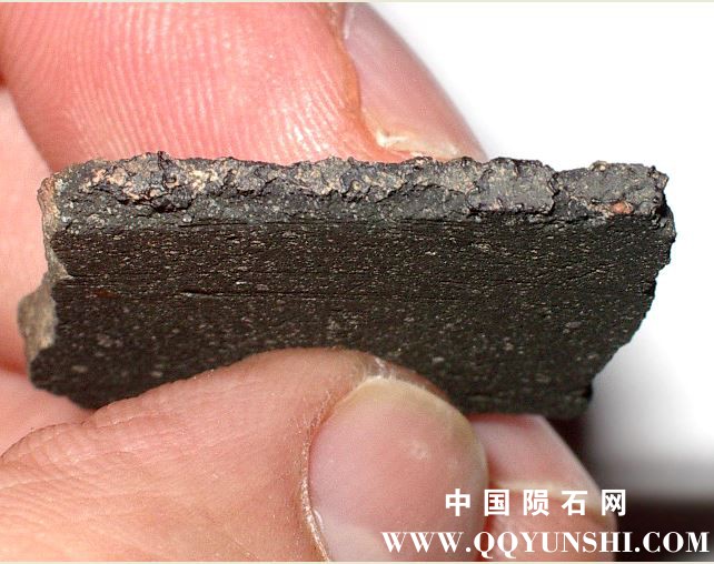 acfer331-3.3g-slice(2).JPG