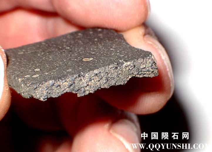 acfer331-3.5g-slice(3).JPG