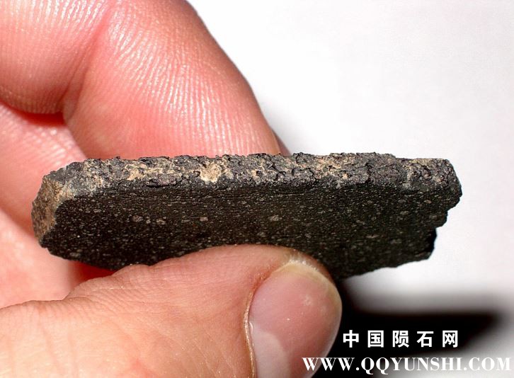 acfer331-4.1g-slice(6).jpg