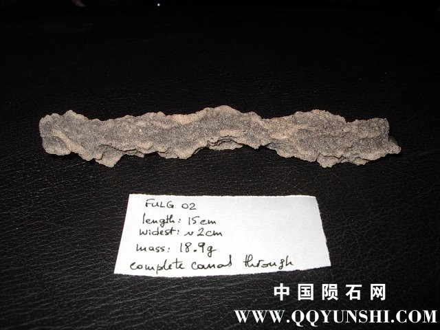 fulg02-length.jpg