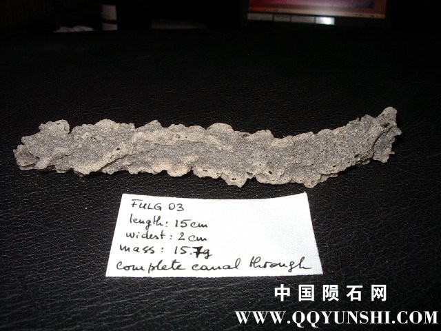 fulg03-length.jpg