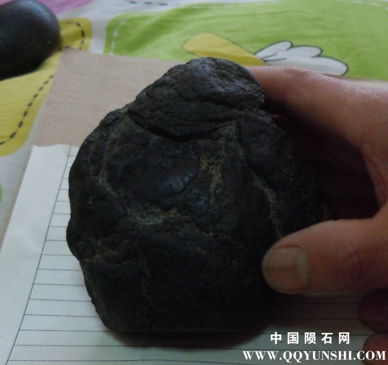 DSCN5198.jpg