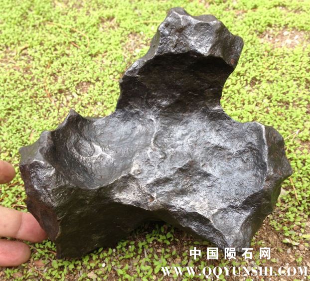 Gibeon7.4kg-2.jpg