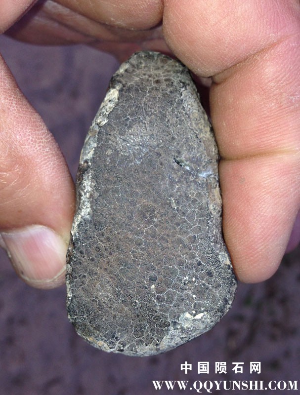 allende75g.jpg