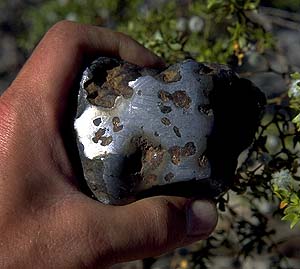 tarahumara.jpg