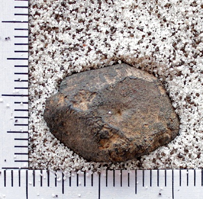 tm1221-B.jpg
