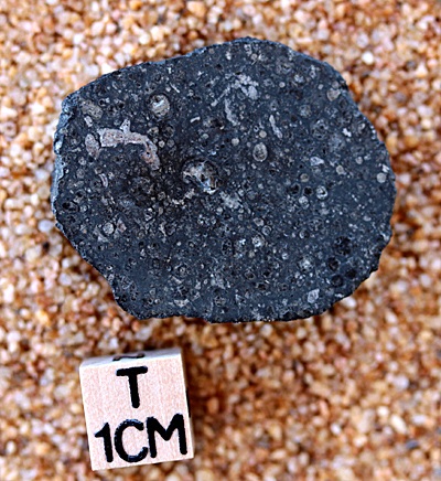 tm1234-A.jpg