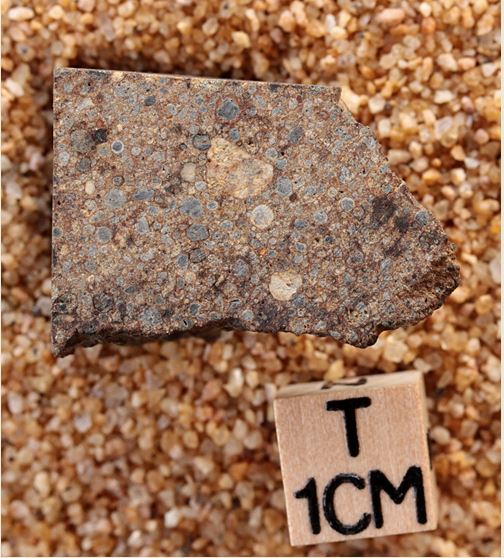 tm1298-A.jpg