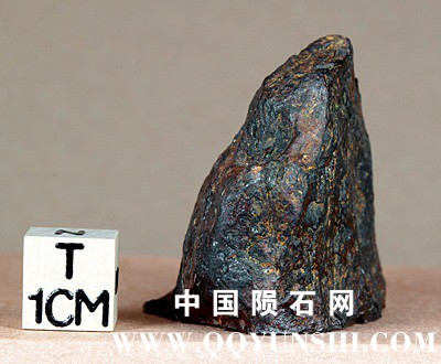 tm1249-C.jpg
