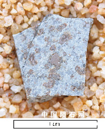 tm1280-A.jpg