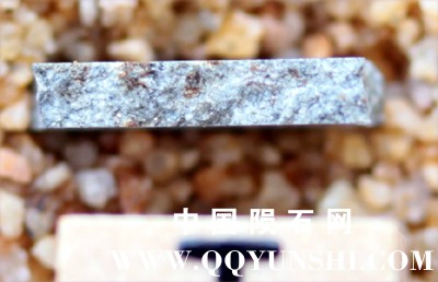 tm1280-C.jpg