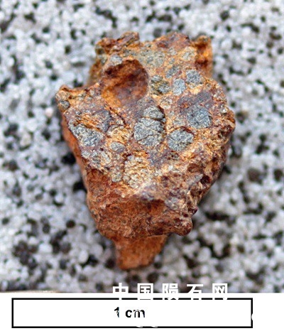 tm1289-A.jpg