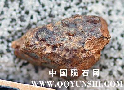 tm1289-B.jpg