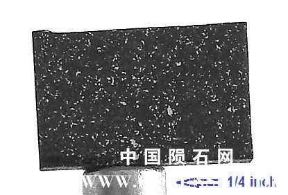 tm1250-A.jpg