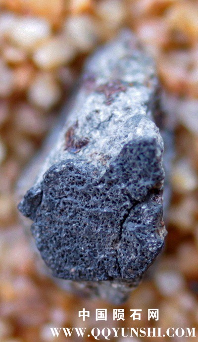 tm1283-C.jpg