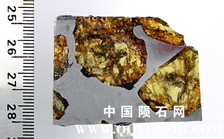 tm1256-A.jpg