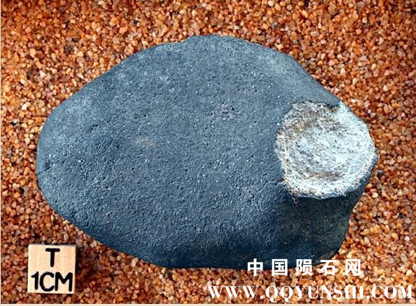 tm1274-A.jpg