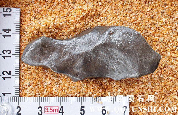 tm1229-B.jpg