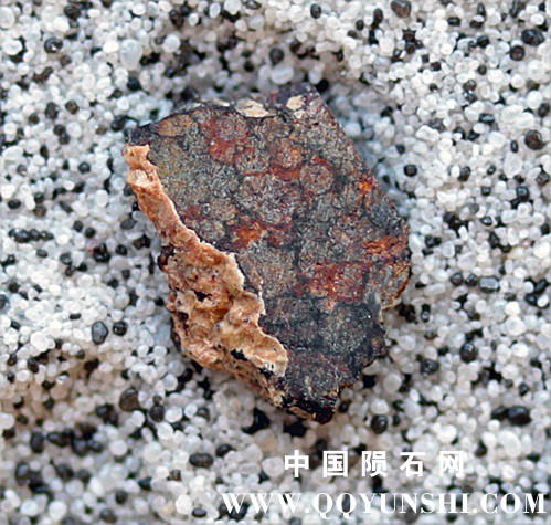 tm1290-B.jpg