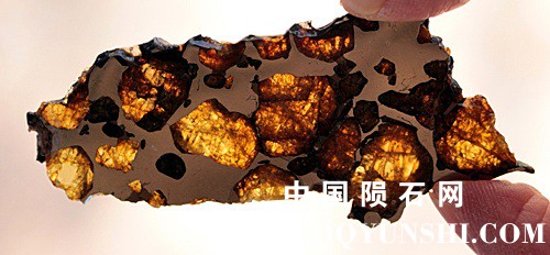 tm1278-A.jpg