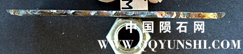 tm1278-B.jpg
