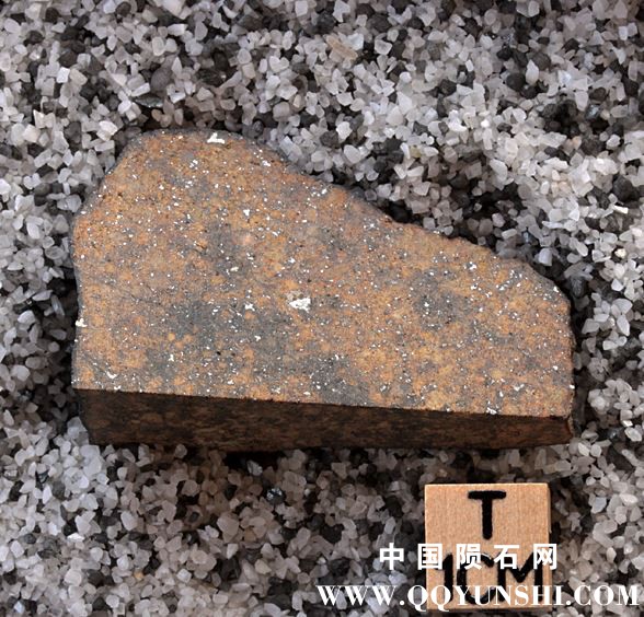 tm1297-A.jpg