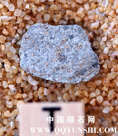 tm1261-B.jpg