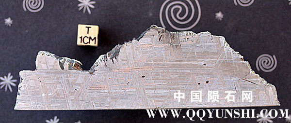 tm1272-A.jpg