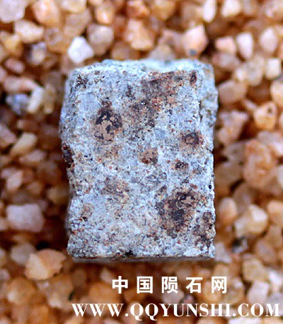 tm1240-B.jpg