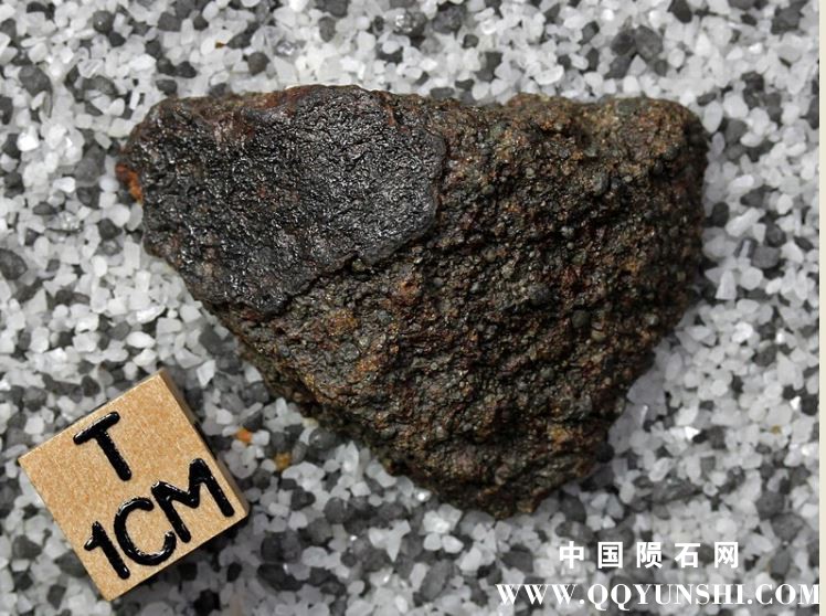 tm1301-C.jpg