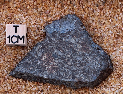 tm1263-B.jpg