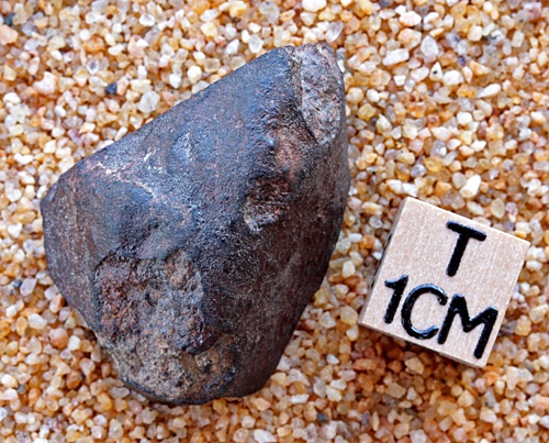 tm1284-A.jpg