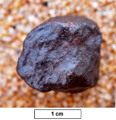 tm1286-A.jpg