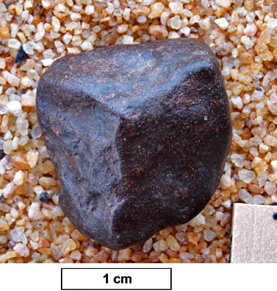 tm1286-B.jpg