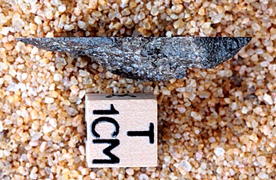 tm1281-C.jpg