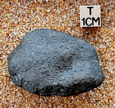 tm1282-A.jpg