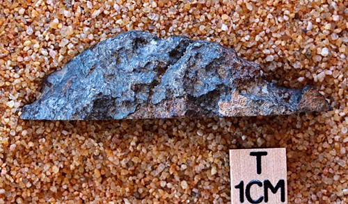 tm1265-D.jpg