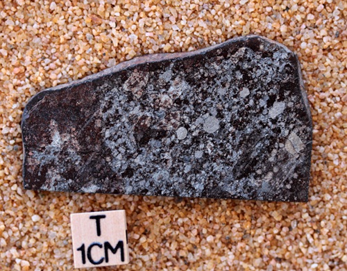 tm1270-A.jpg