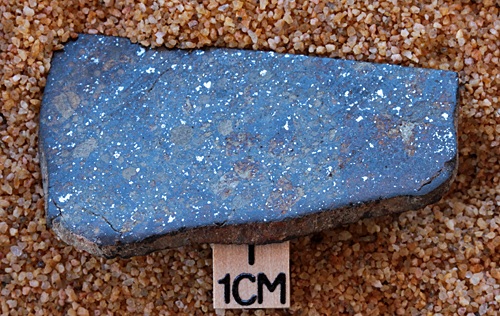 tm1270-C.jpg