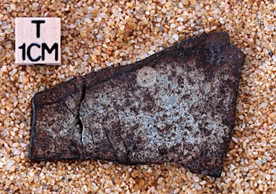 tm1267-B.jpg