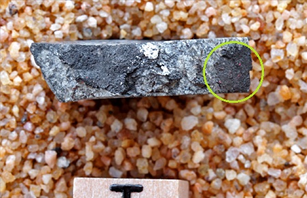 tm1287-C.jpg