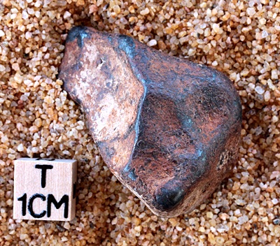 tm1231-B.jpg