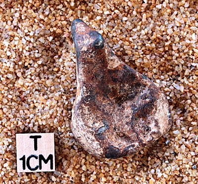 tm1231-C.jpg