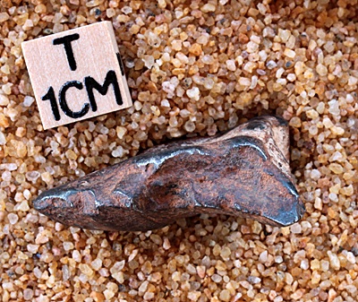 tm1232-C.jpg