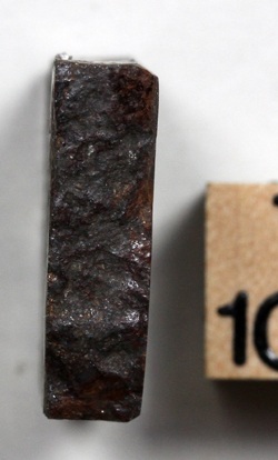 tm1308-C.jpg