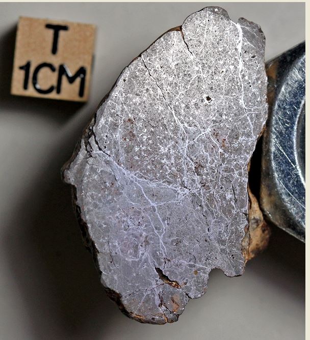 tm1316-B.jpg